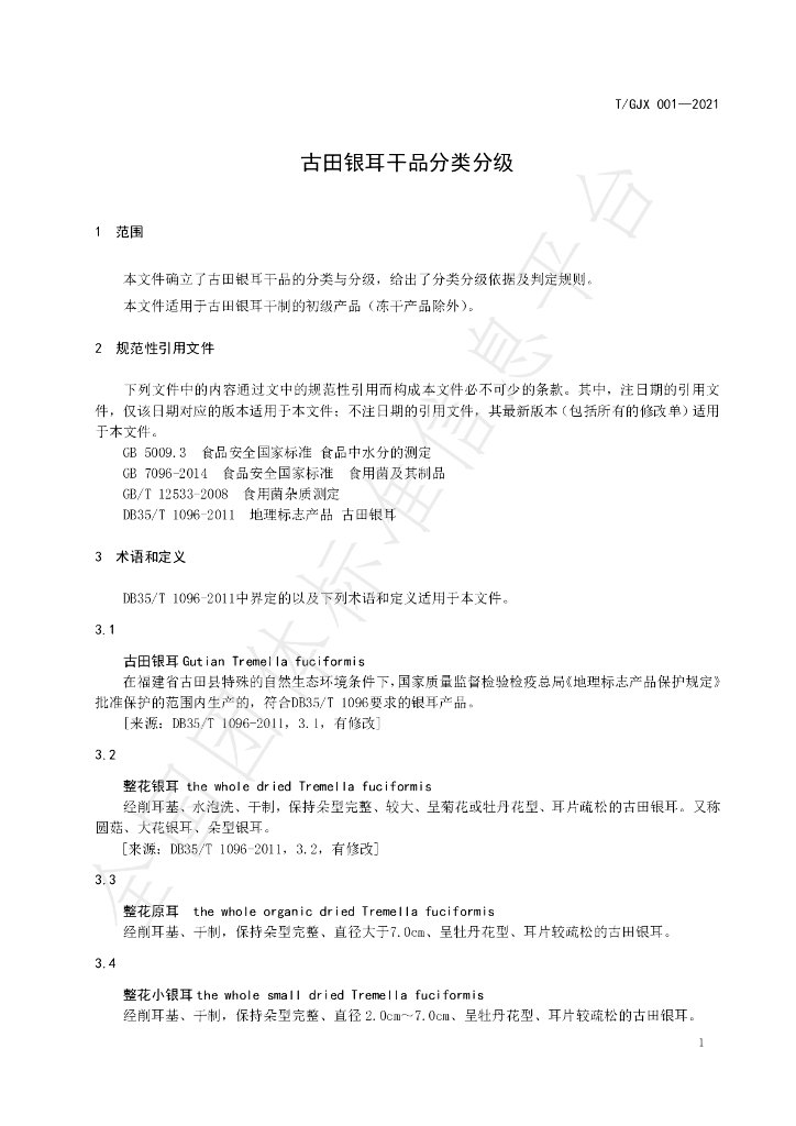 T/GJX 001-2021 标准预览