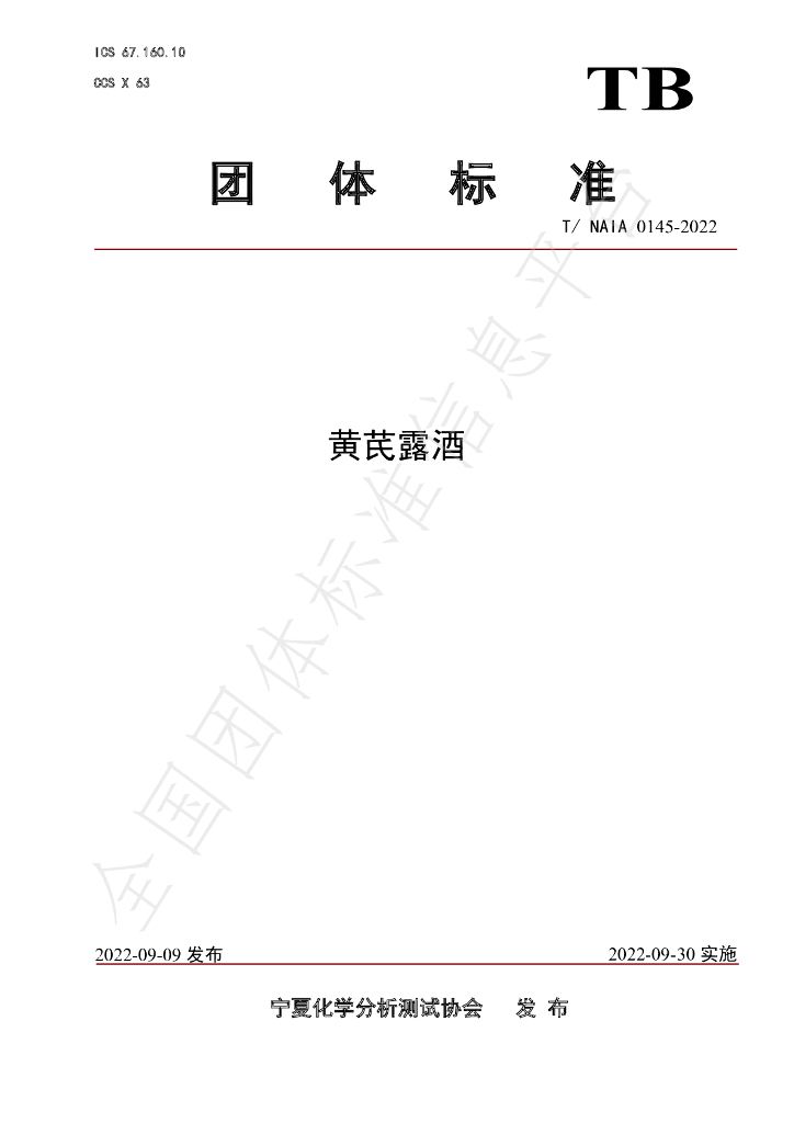T/NAIA 0145-2022 标准预览