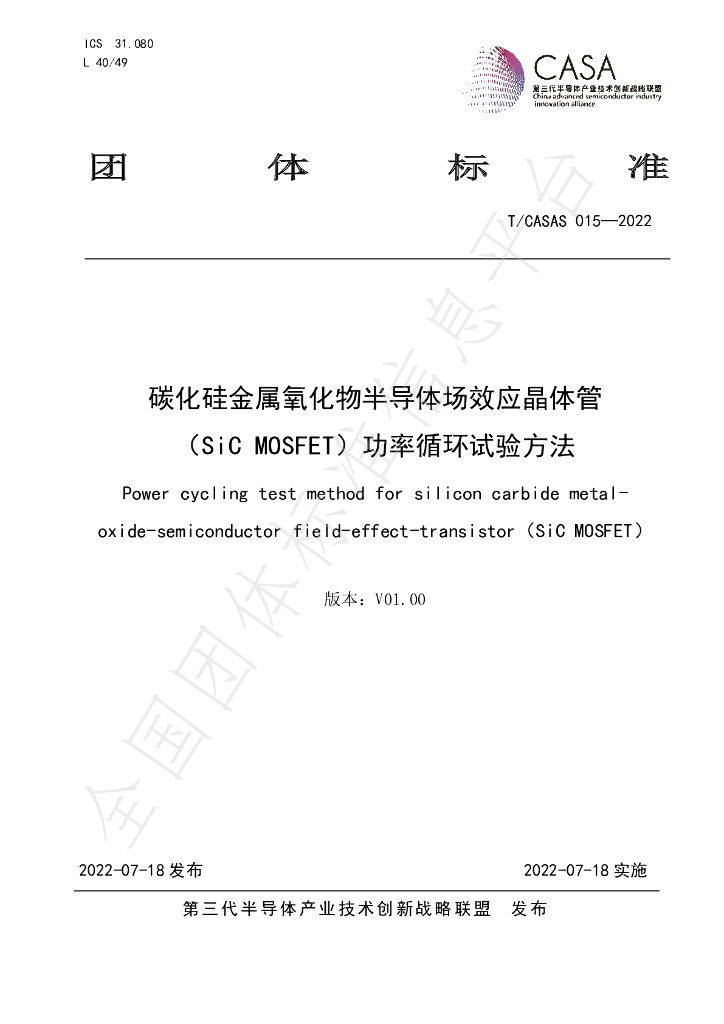 T/CASAS 015-2022 标准预览