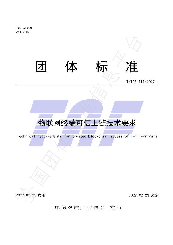 T/TAF 111-2022 标准预览
