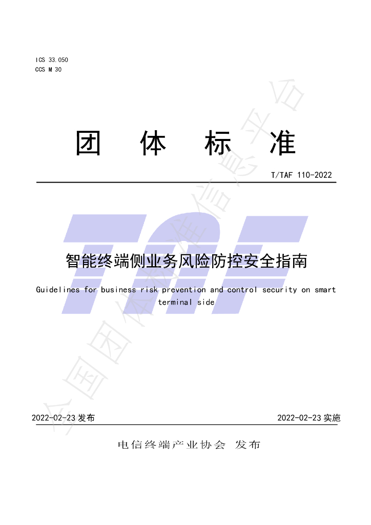 T/TAF 110-2022 标准预览
