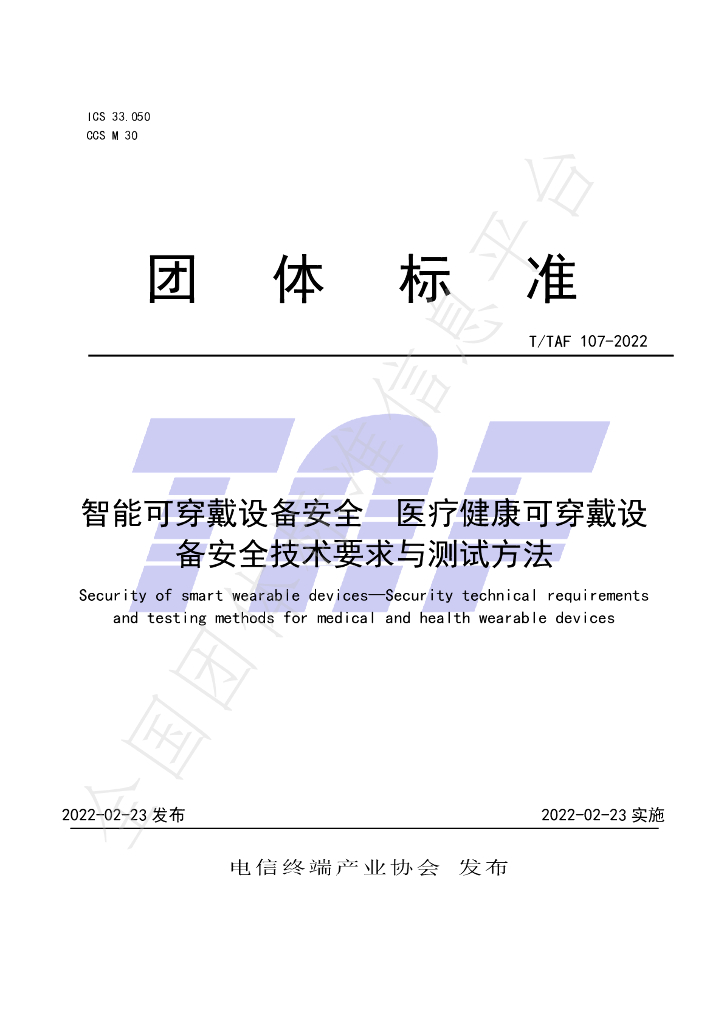 T/TAF 107-2022 标准预览