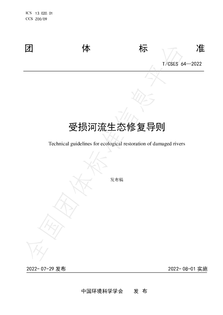 T/CSES 64-2022 标准预览