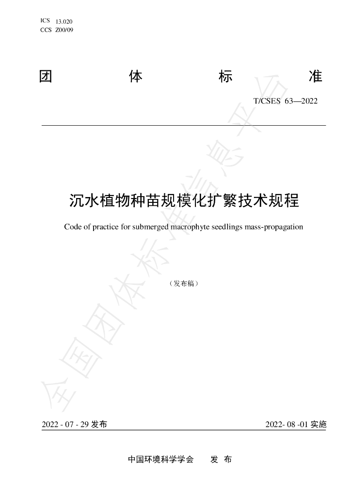 T/CSES 63-2022 标准预览