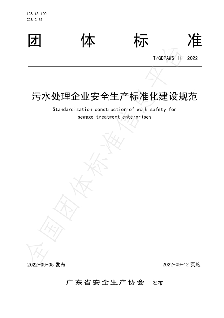 T/GDPAWS 11-2022 标准预览