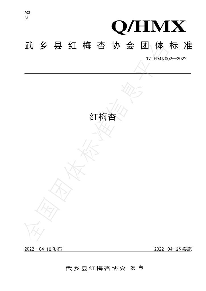 T/WM 004-2022 标准预览