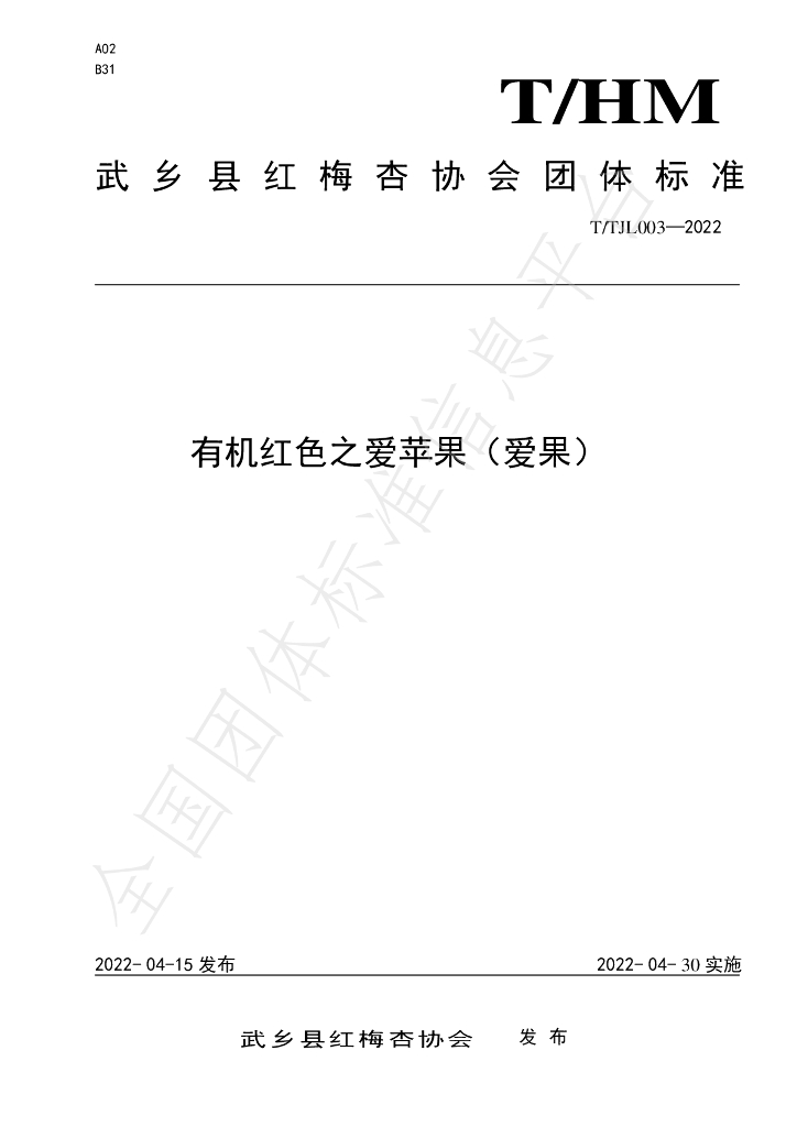 T/WM 003-2022 标准预览