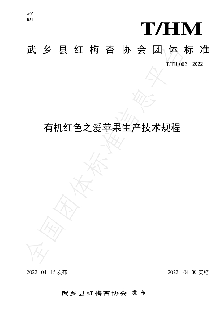 T/WM 002-2022 标准预览