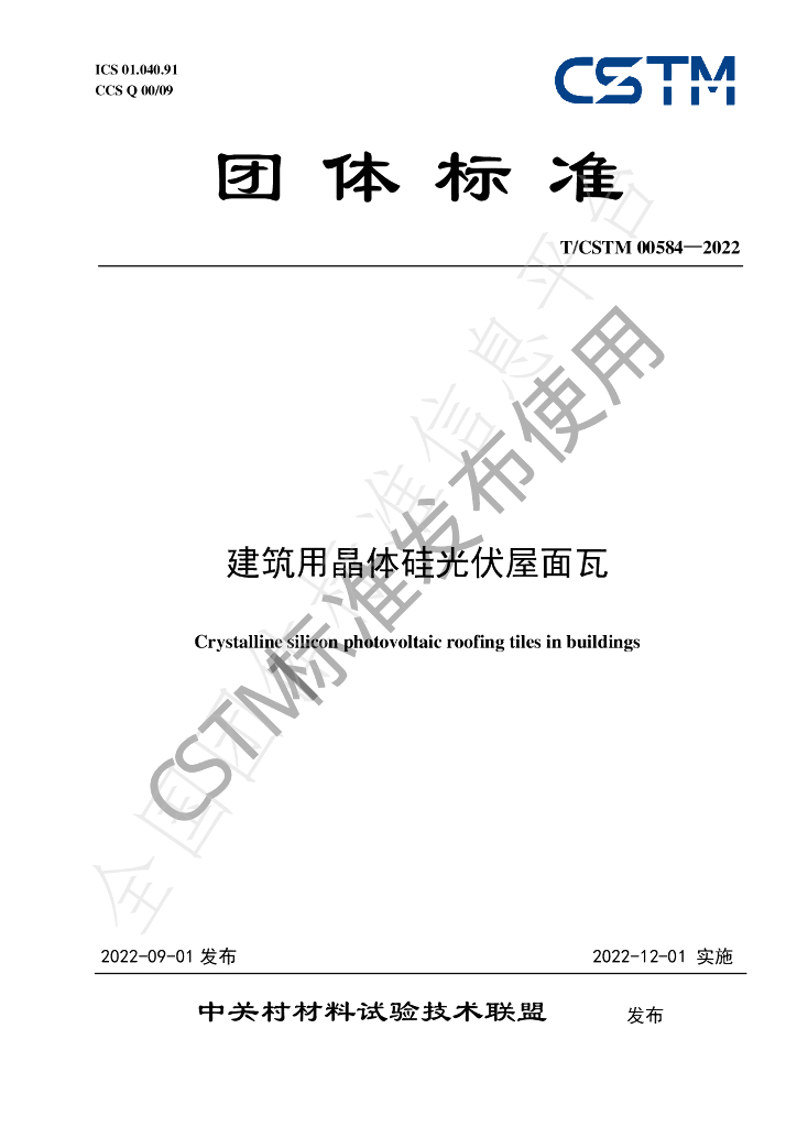 T/CSTM 00584-2022 标准预览