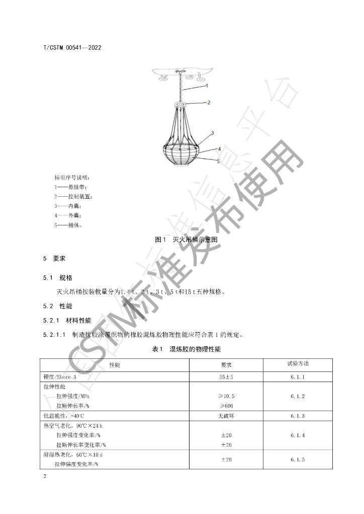 T/CSTM 00541-2022 标准预览