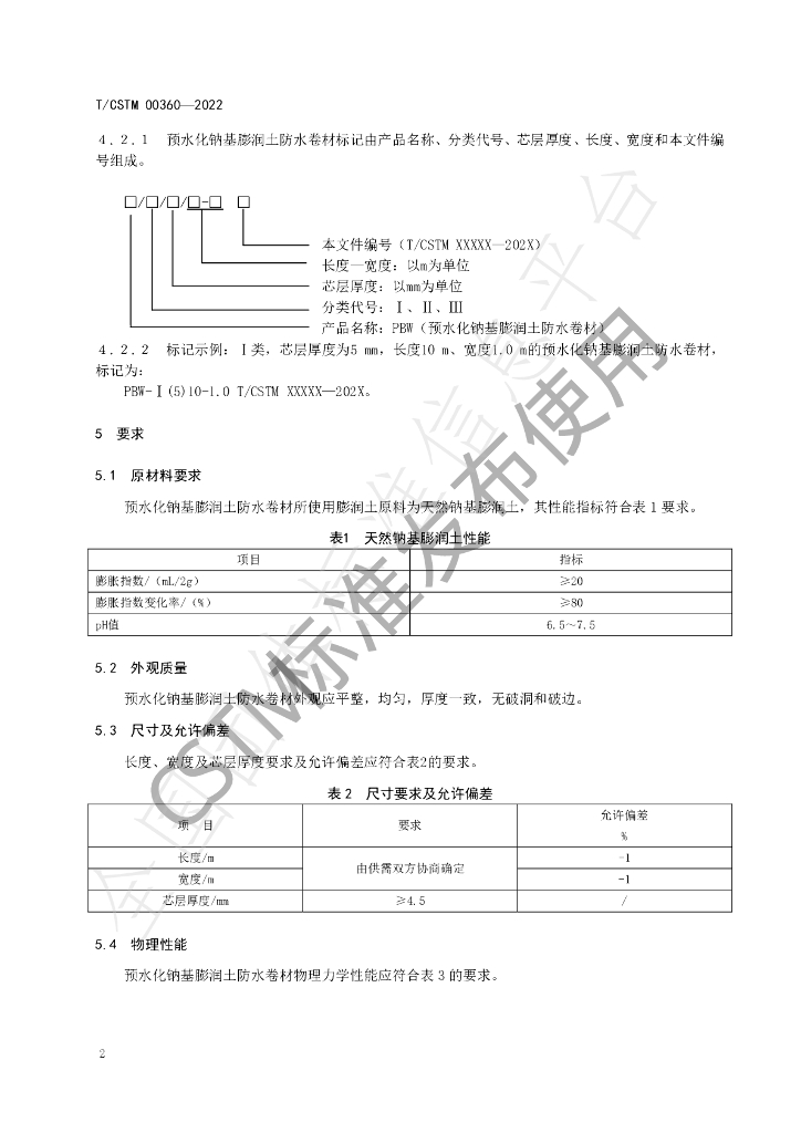 T/CSTM 00360-2022 标准预览