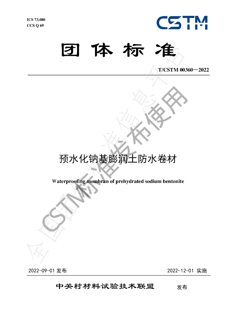 T/CSTM 00360-2022 标准预览