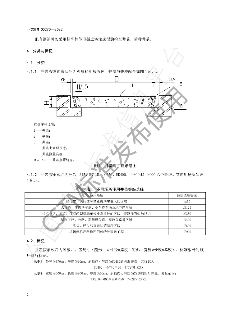 T/CSTM 00290-2022 标准预览