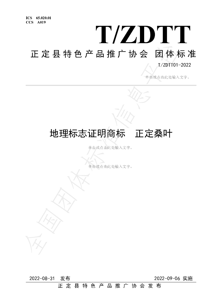 T/ZDTT 01-2022 标准预览