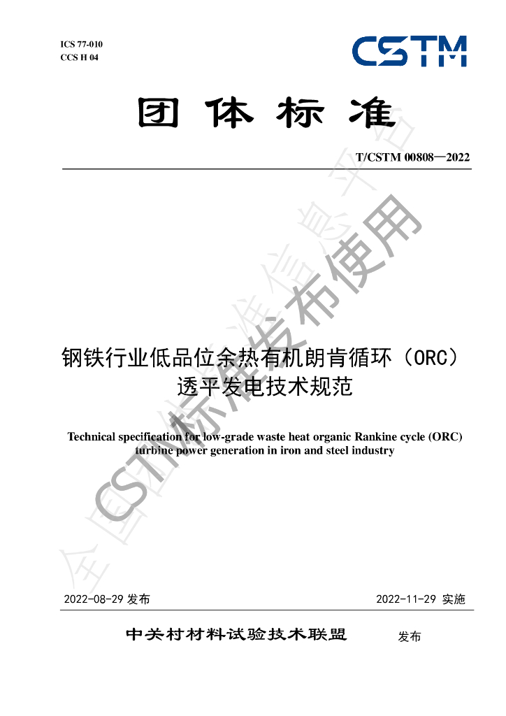 T/CSTM 00808-2022 标准预览