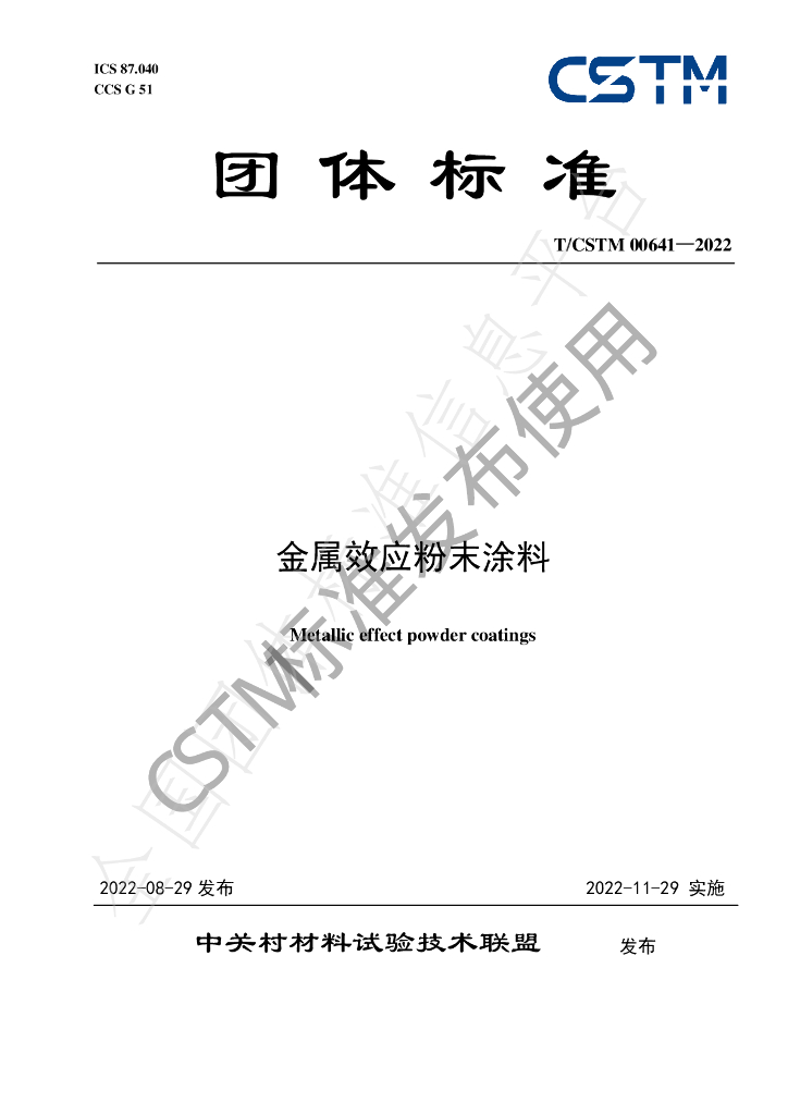 T/CSTM 00641-2022 标准预览