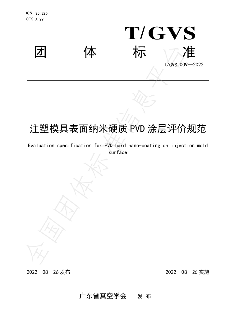 T/GVS 009-2022 标准预览