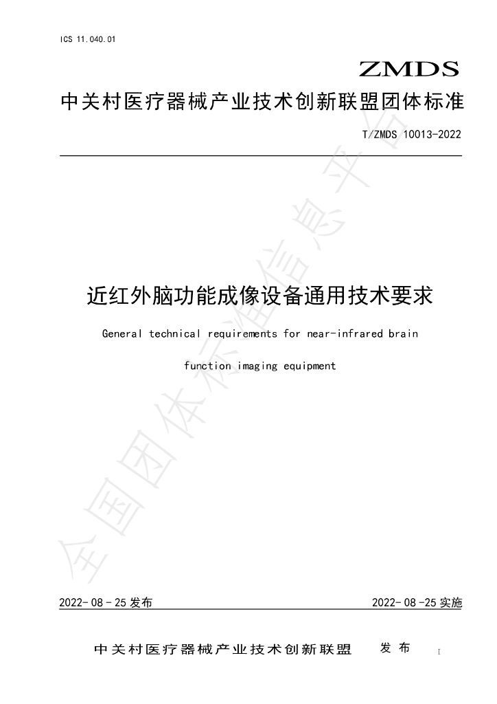 T/ZMDS 10013-2022 标准预览