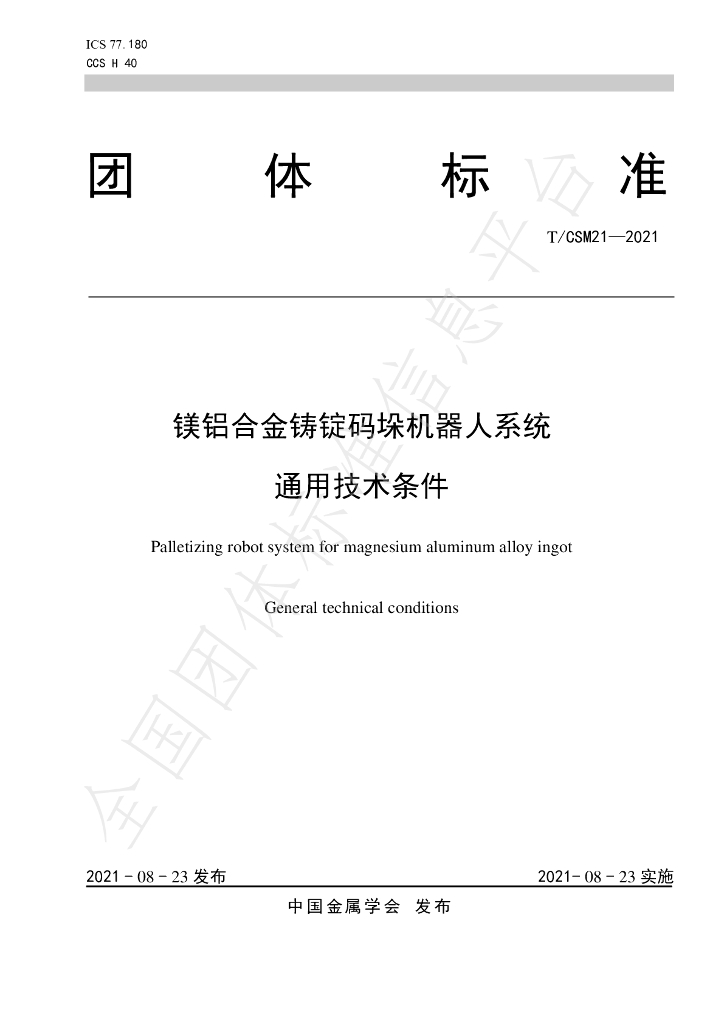T/CSM 21-2021 标准预览