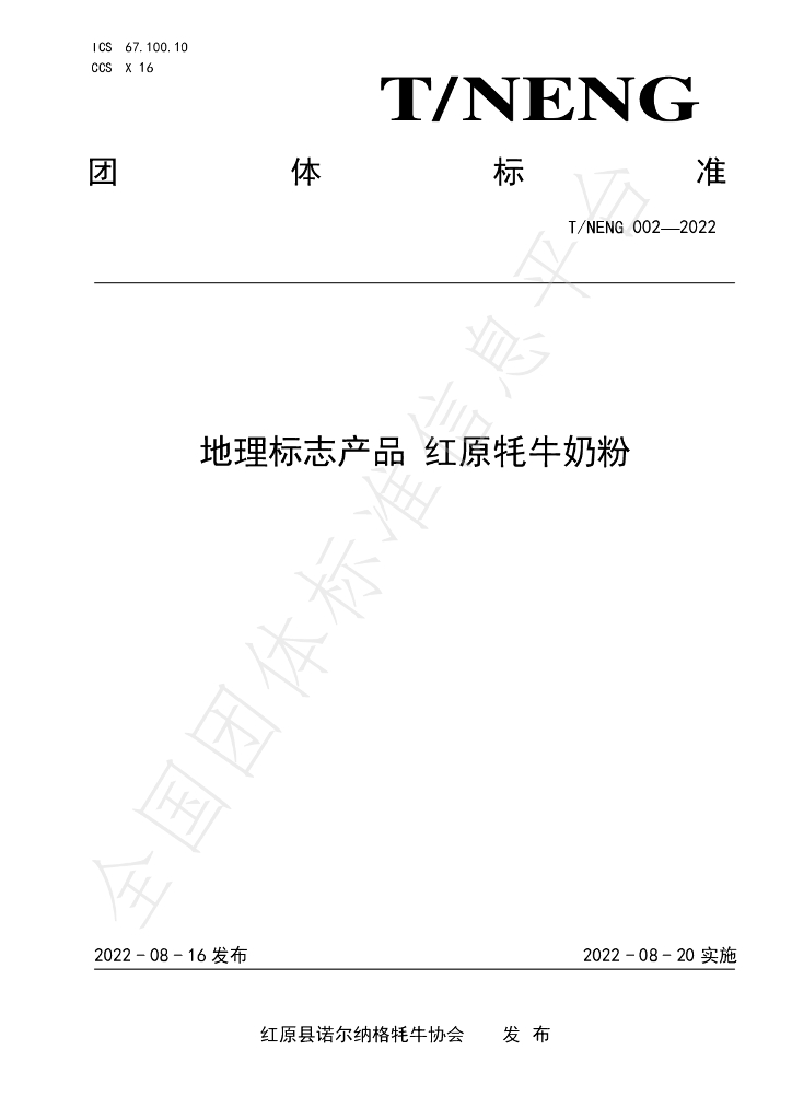 T/NENG 002-2022 标准预览