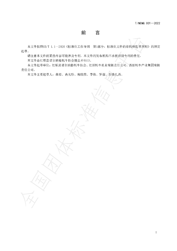 T/NENG 001-2022 标准预览