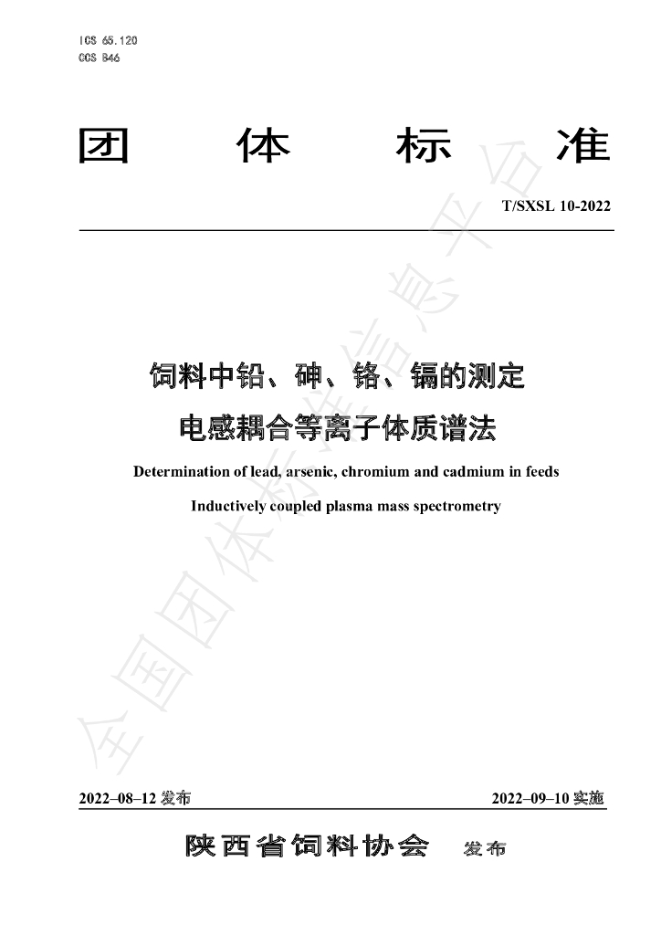 T/SXSL 10-2022 标准预览