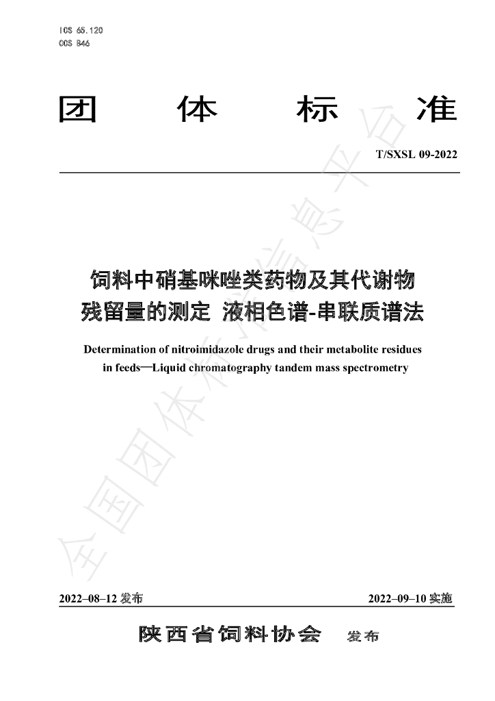 T/SXSL 09-2022 标准预览