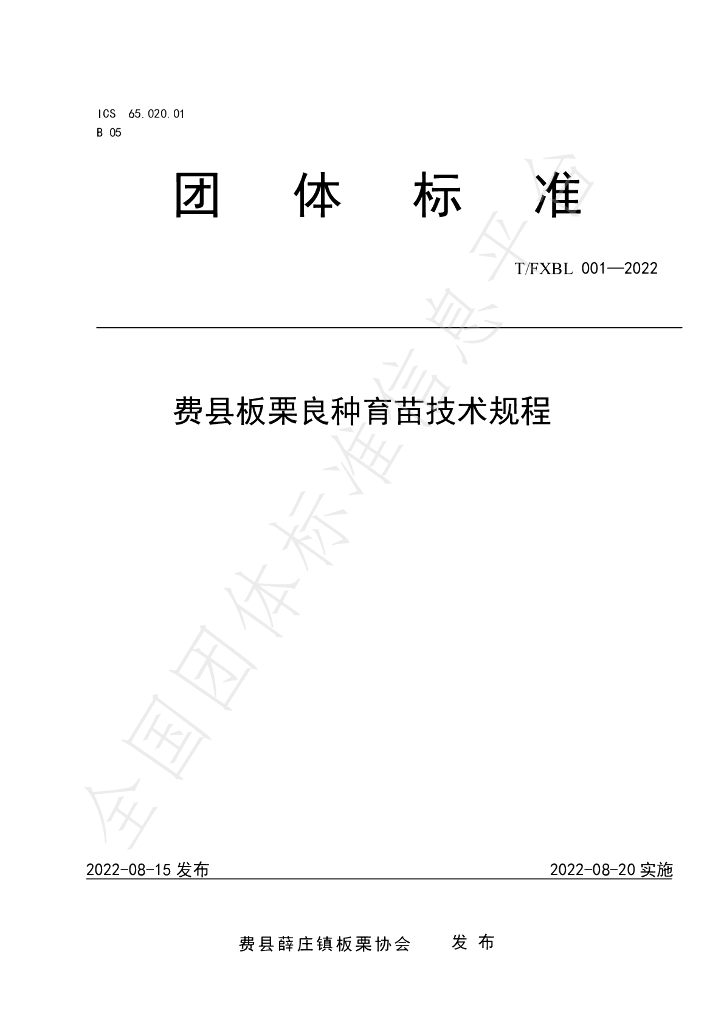 T/FXBL 001-2022 标准预览