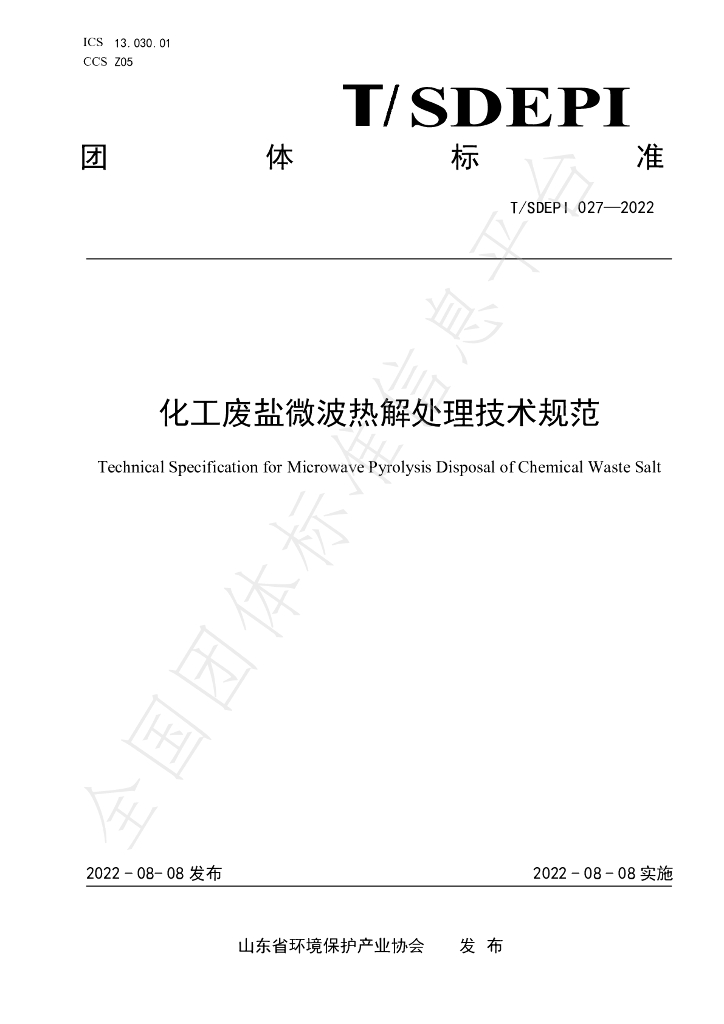 T/SDEPI 027-2022 标准预览