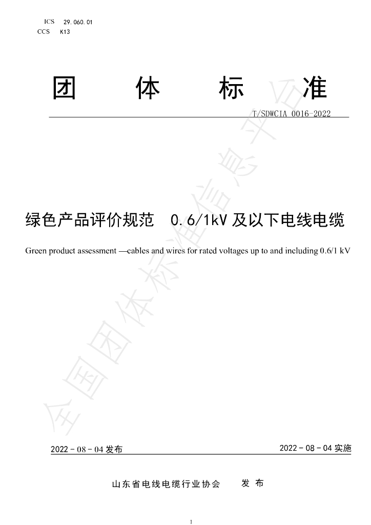 T/SDWCIA 0016-2022 标准预览