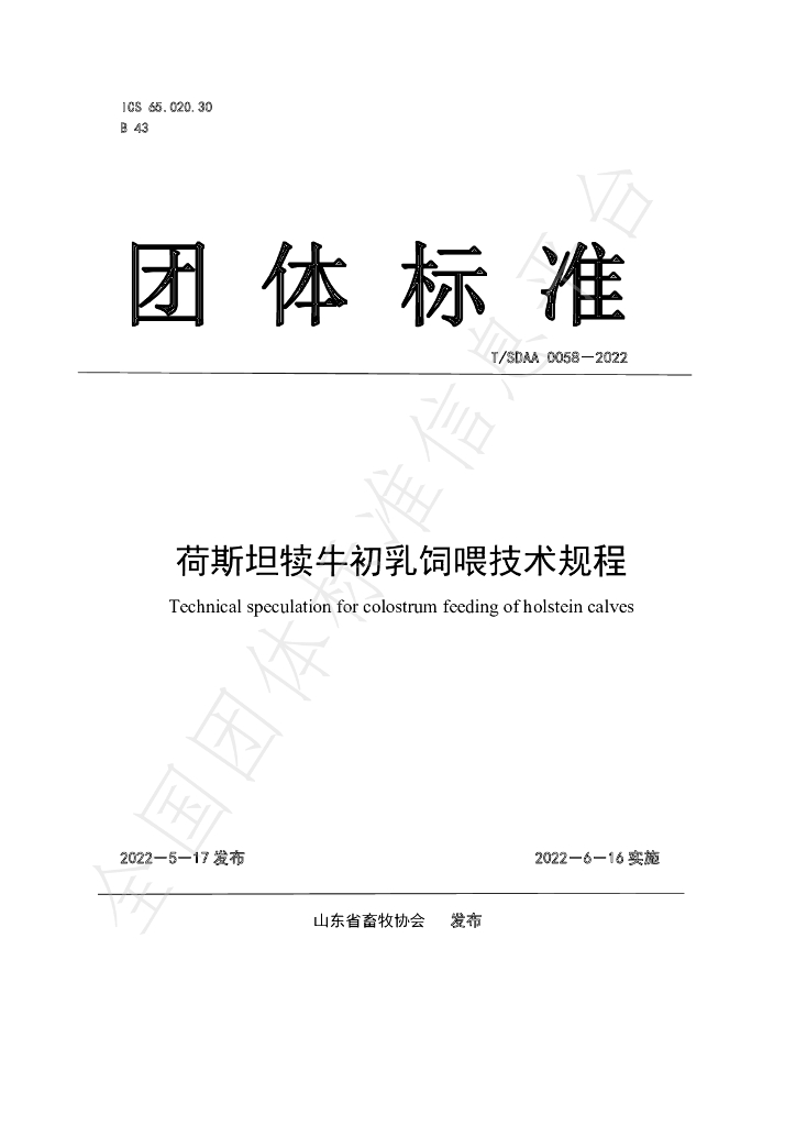 T/SDAA 0058-2022 标准预览
