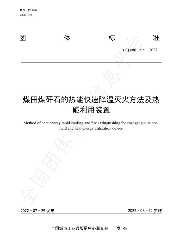 T/QGCML 315-2022 标准预览