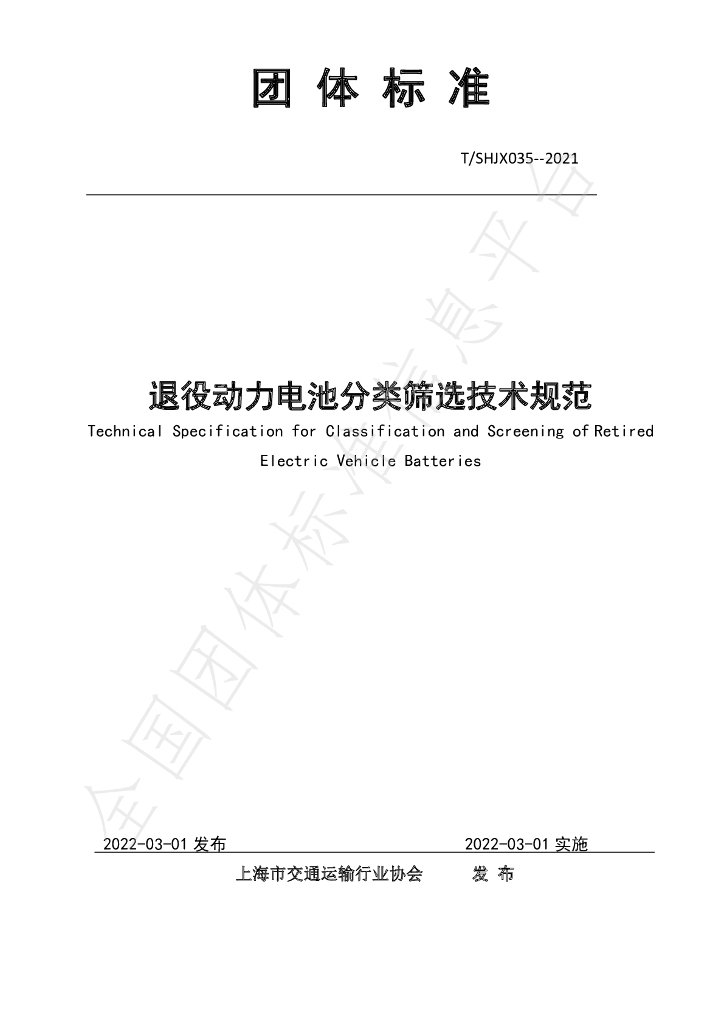 T/SHJX 035-2022 标准预览