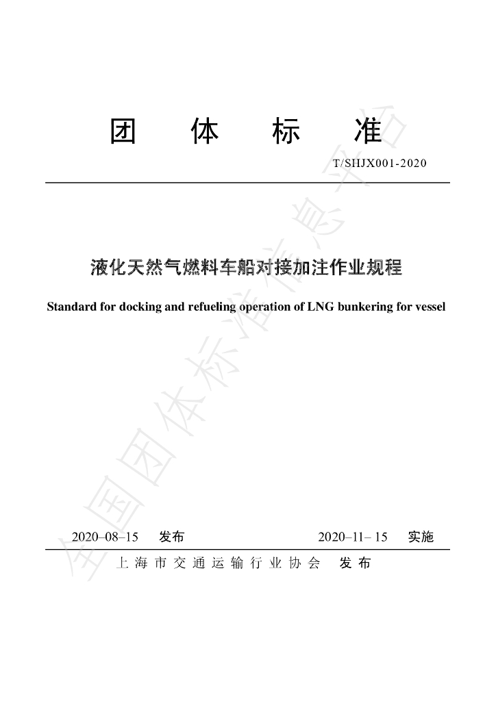 T/SHJX 001-2020 标准预览