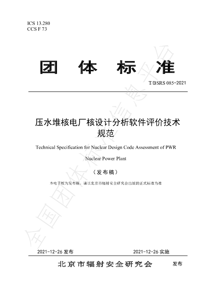 T/BSRS 085-2021 标准预览