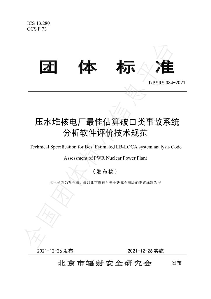 T/BSRS 084-2021 标准预览