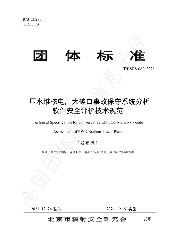 T/BSRS 082-2021 标准预览