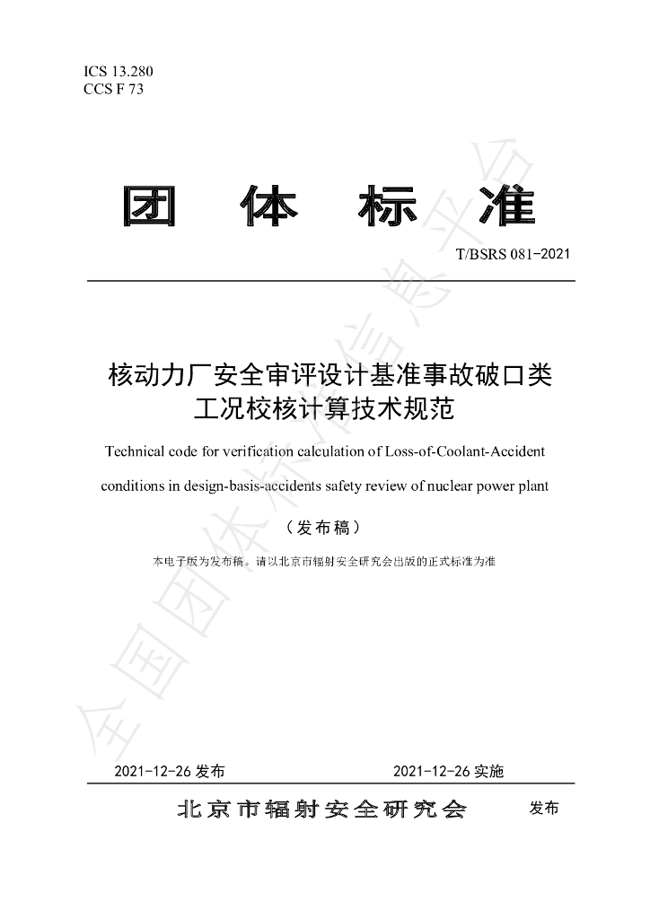 T/BSRS 081-2021 标准预览