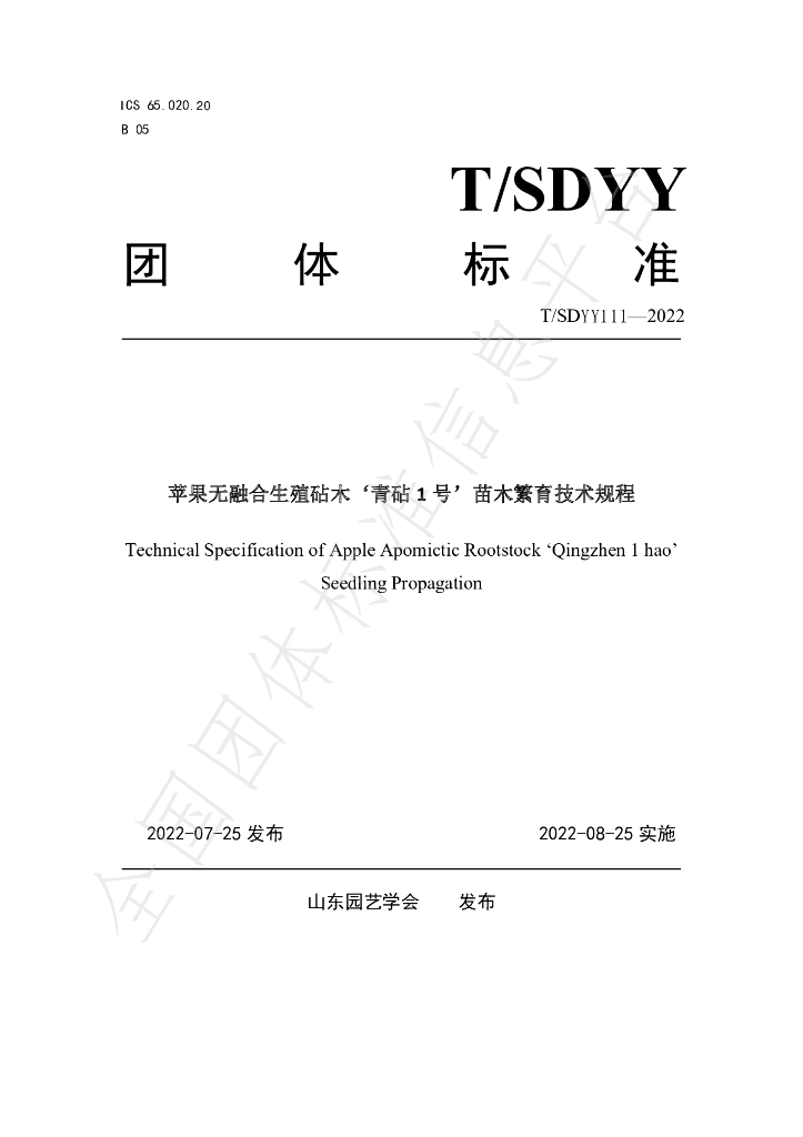 T/SDYY 111-2022 标准预览