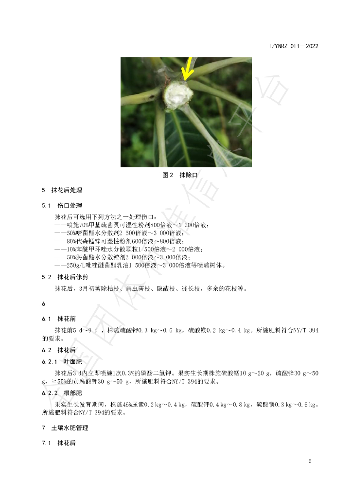 T/YNRZ 011-2022 标准预览