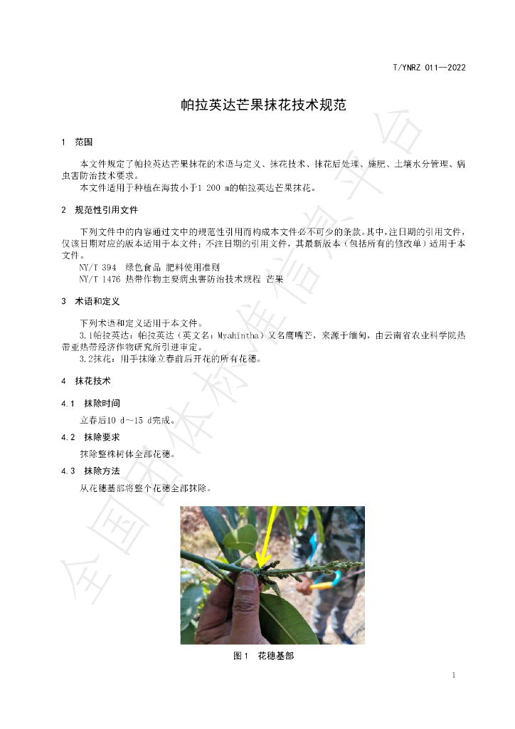 T/YNRZ 011-2022 标准预览