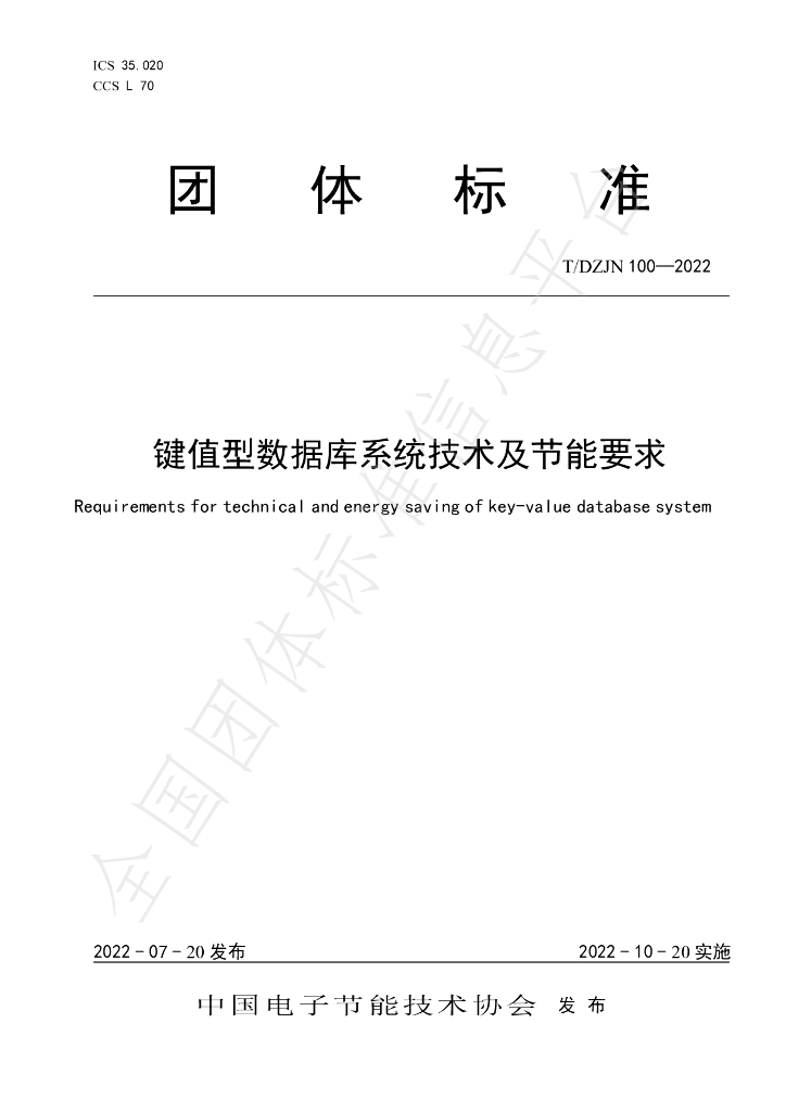 T/DZJN 100-2022 标准预览