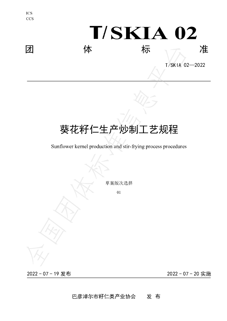 T/SKIA 02-2022 标准预览