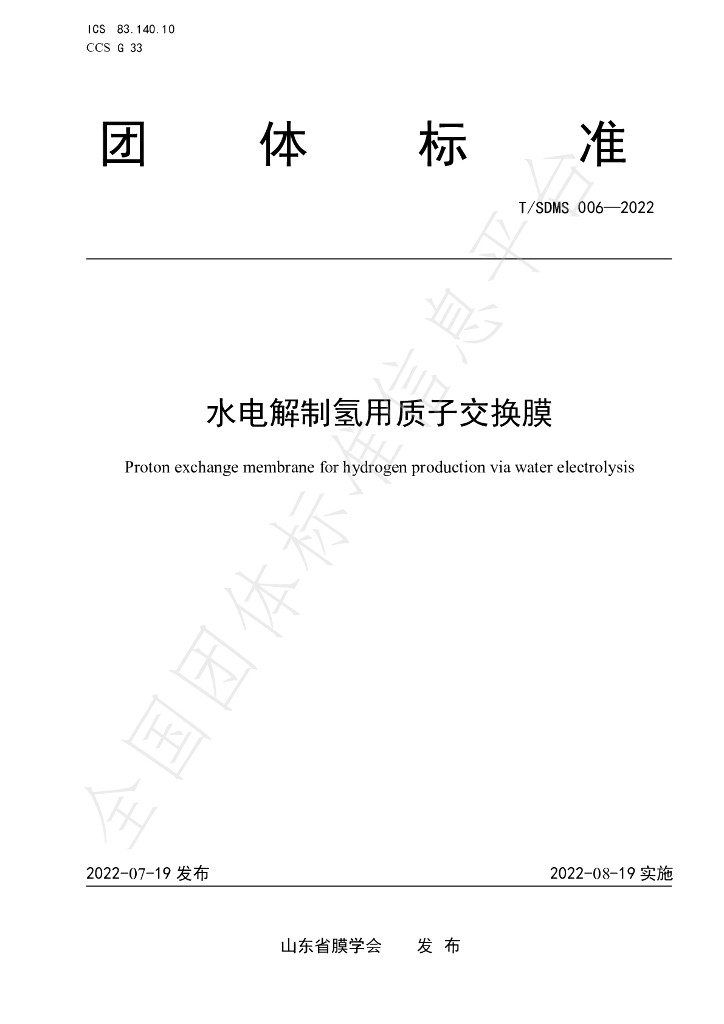 T/SDMS 006-2022 标准预览