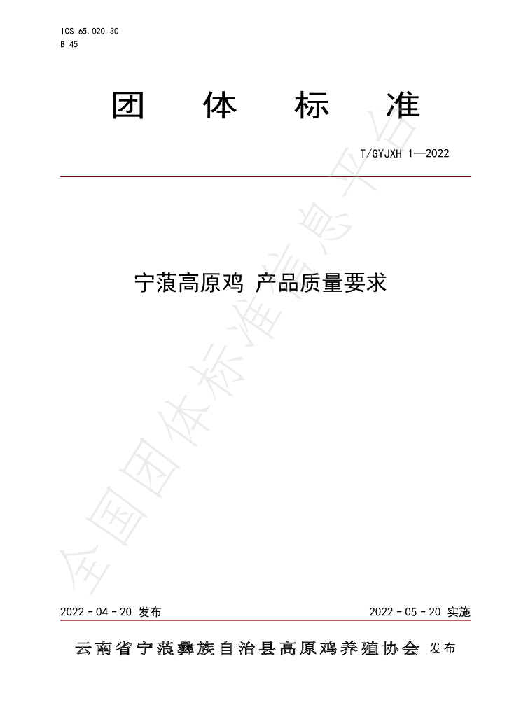 T/GYJXH 1-2022 标准预览