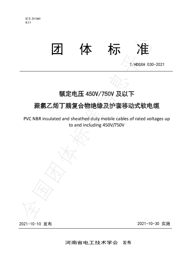 T/HDGXH 030-2021 标准预览