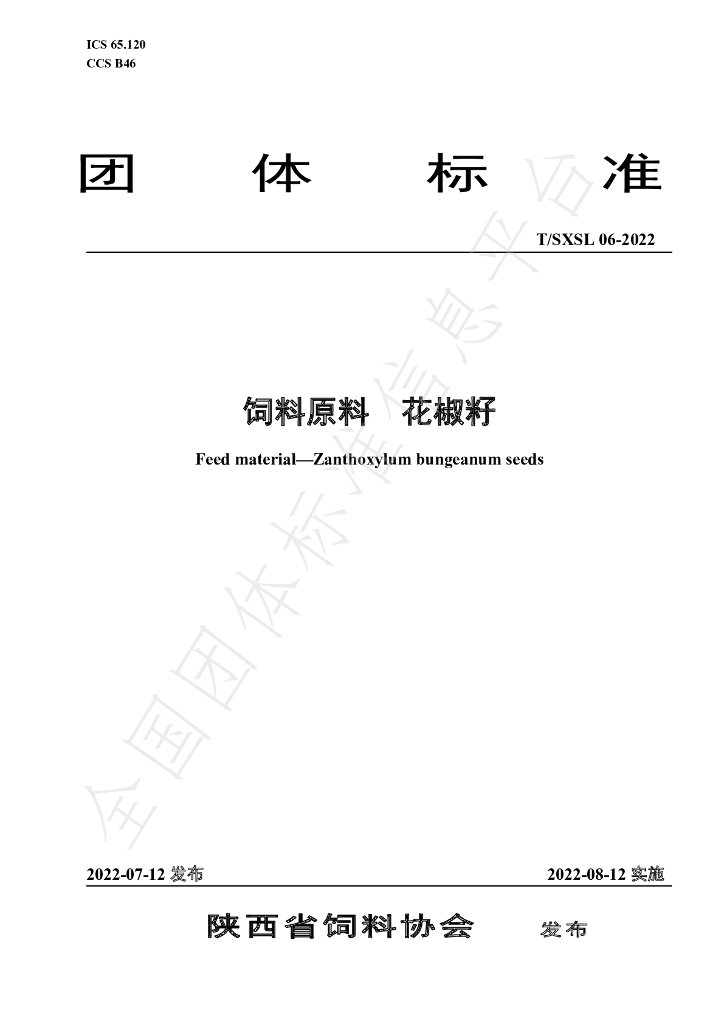 T/SXSL 06-2022 标准预览