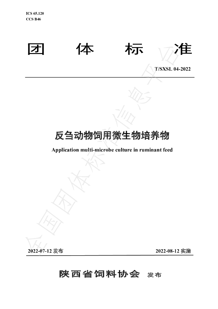 T/SXSL 04-2022 标准预览