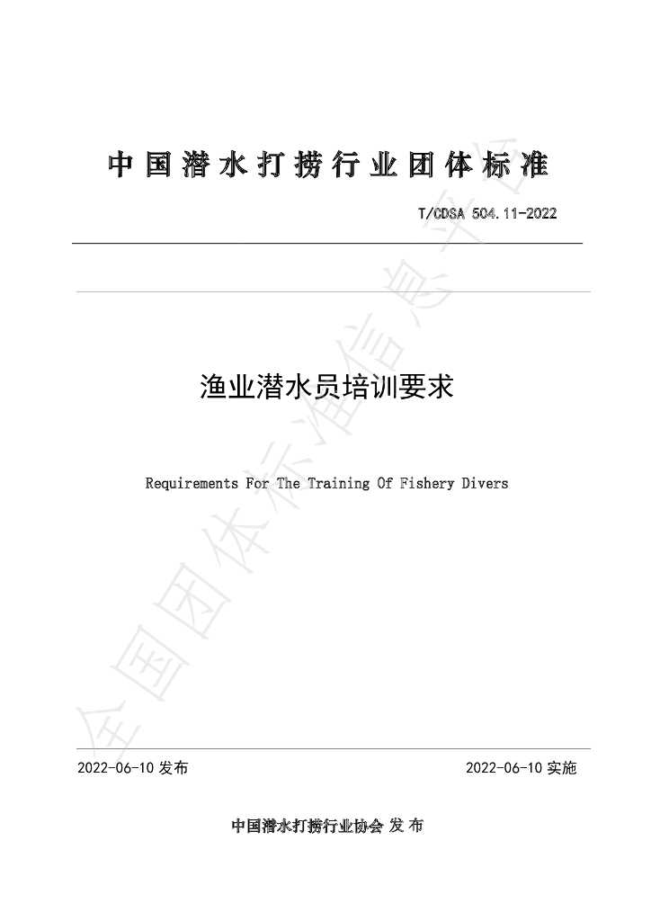 T/CDSA 504.11-2022 标准预览
