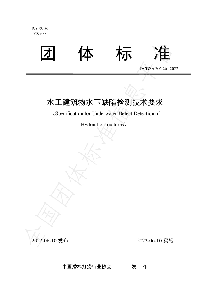 T/CDSA 305.26-2022 标准预览